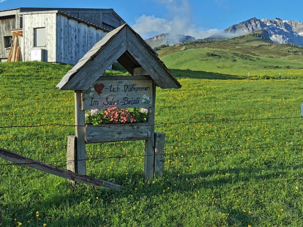 Alp Salaz