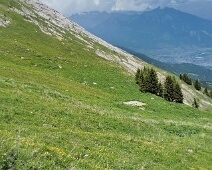 Calannaluz