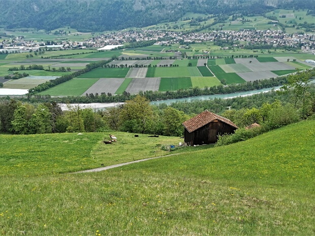 Gadiera
