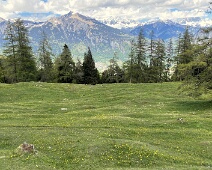 Obera Boda