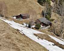 Valmanus