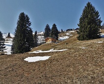 Zamunt