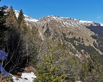 Scharina & Schmalzböda