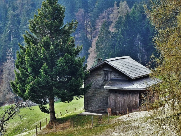Valtscharnus