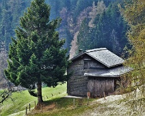 Valtscharnus