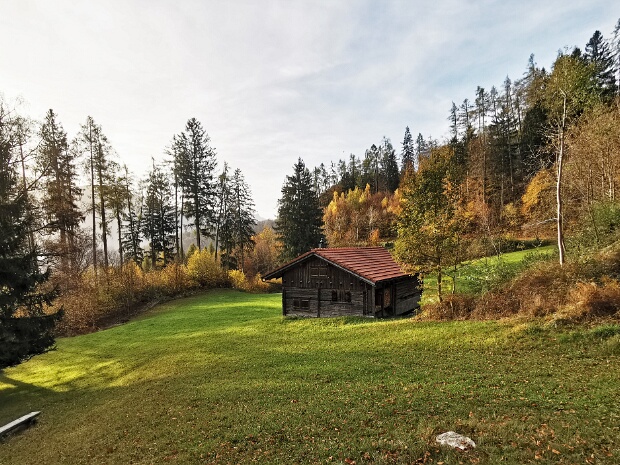 Nördl. Alpen und Bergwiesen