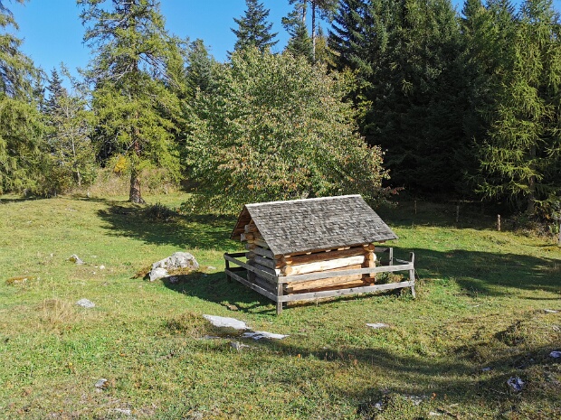 Wisali