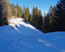 Gortschnali
