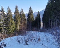 Wiseli