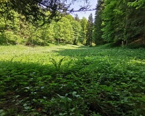 Curtanätsch