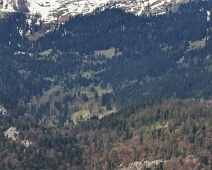 Südl. Alpen und Bergwiesen