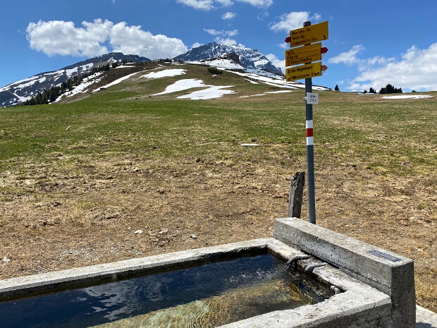 Alpen & Fluren