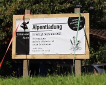 Alpabzug 2025 (im Dorf)