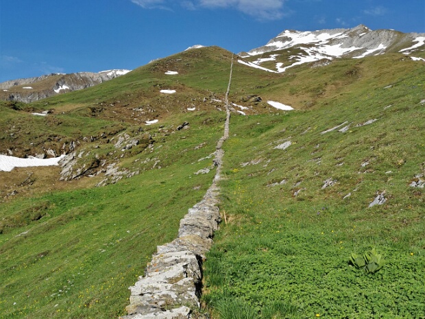 Natursteinmauer Mastrilser Alp
