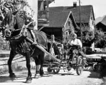 Bilder aus dem Guntli-Nachlass