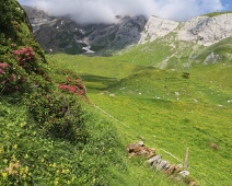 Der Bergsommer