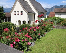 Der Sommer