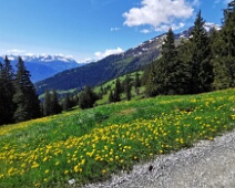 Bergfrühling in den Vazer Calandabergen