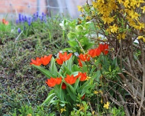 Der Frühling