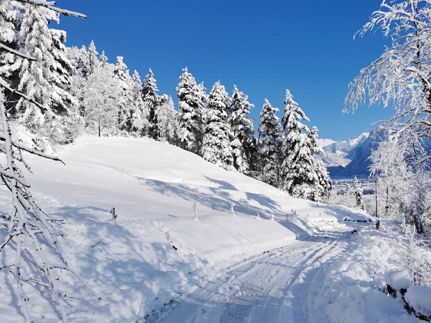 Der Winter