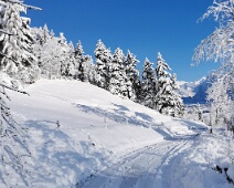 Der Winter