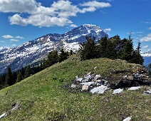 Haldensteiner Calanda