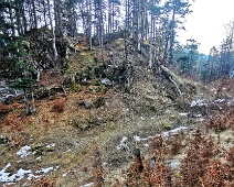 Undertöbelichopf