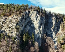 Adler