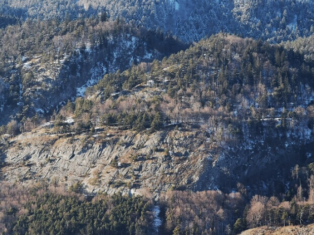 Luschopf