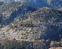 Luschopf