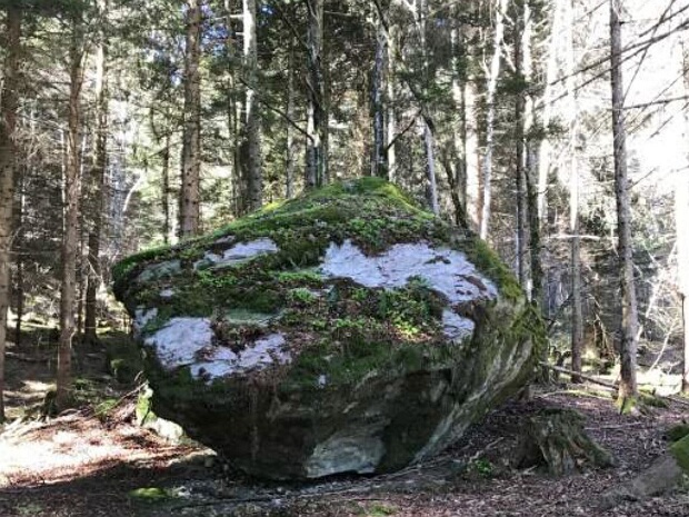Chiesli im Ragallawald