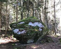 Chiesli im Ragallawald