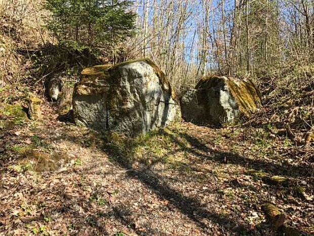 Druidenstein am Chäppeli