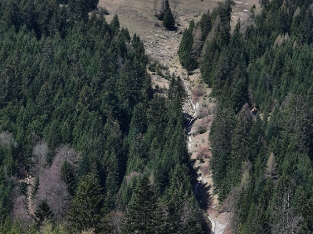 Loriwald-Bach