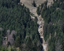Loriwald-Bach
