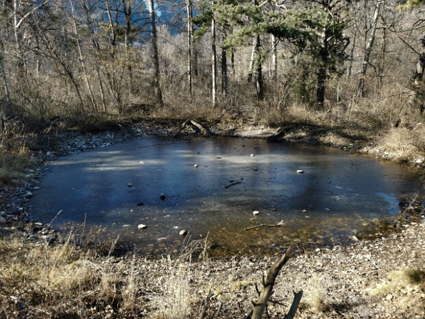 Hirschland-Gumpe