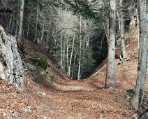 Steggatobel