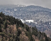 Bärengüllenwald (Bäragüllawald)
