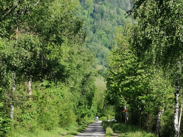 Mittlerer Auwald