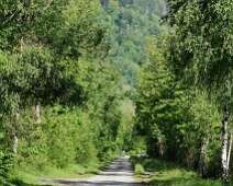 Mittlerer Auwald