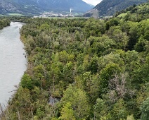 Nördlicher Auwald (Rheinauen)