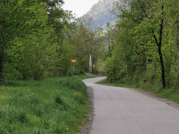 Südlicher Auwald