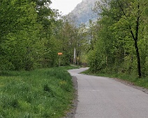 Südlicher Auwald