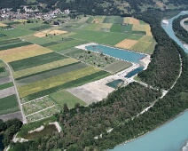 Auwald (Rheinauen)