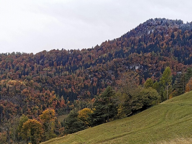 Färawald (Farenwald)