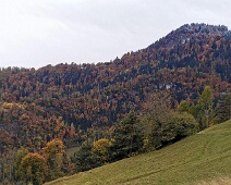Färawald (Farenwald)