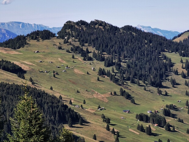 Wälder