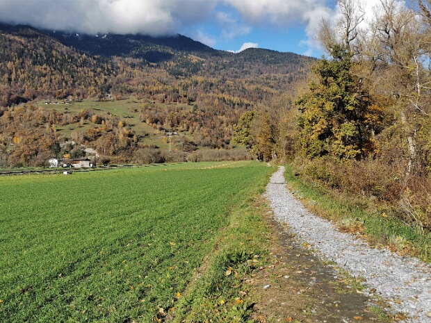 Flügerliplatzweg