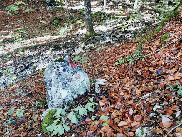 Schindlabodaweg